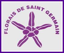 FSG logo